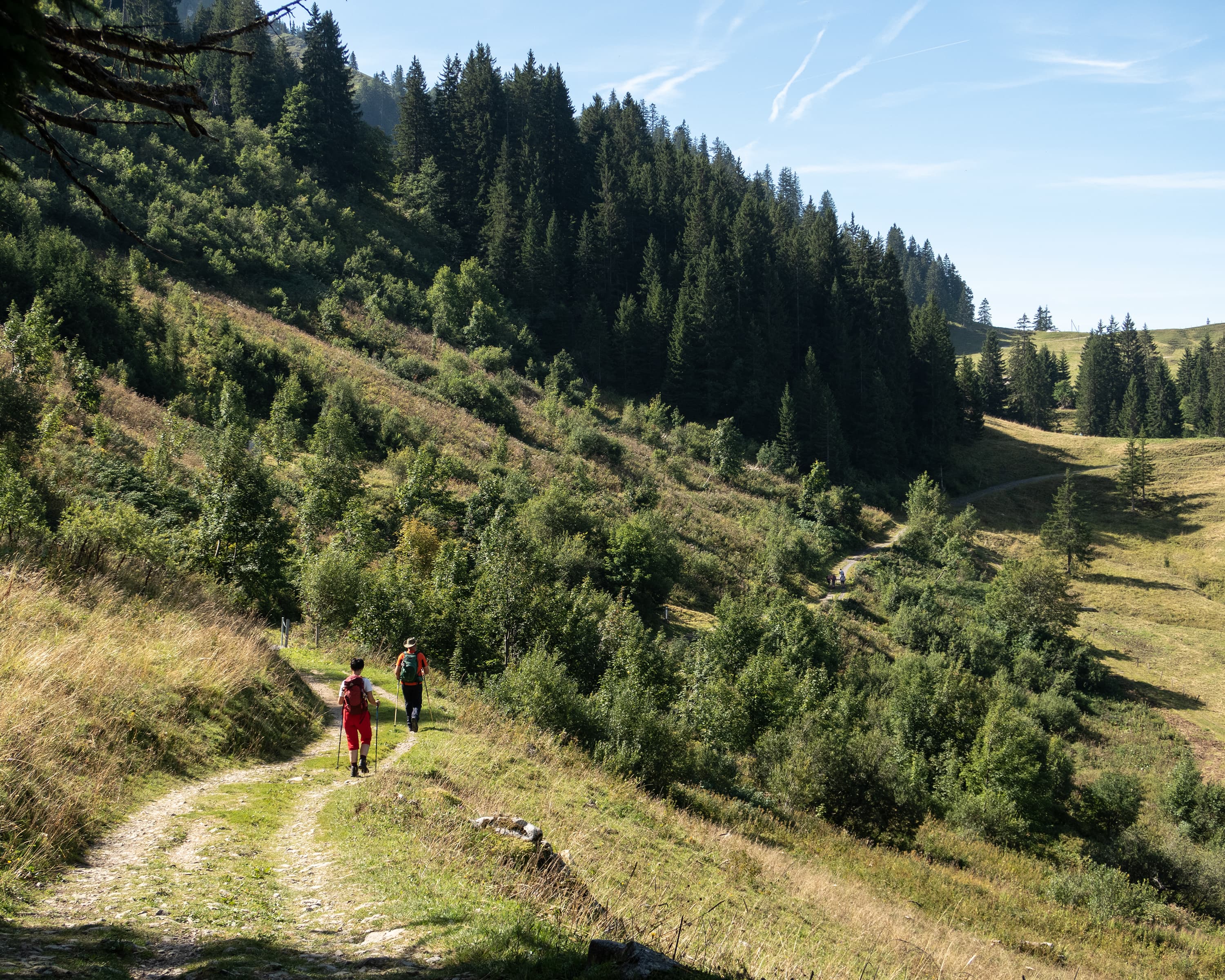 Alpine Panorama Trail, Stage 22/29