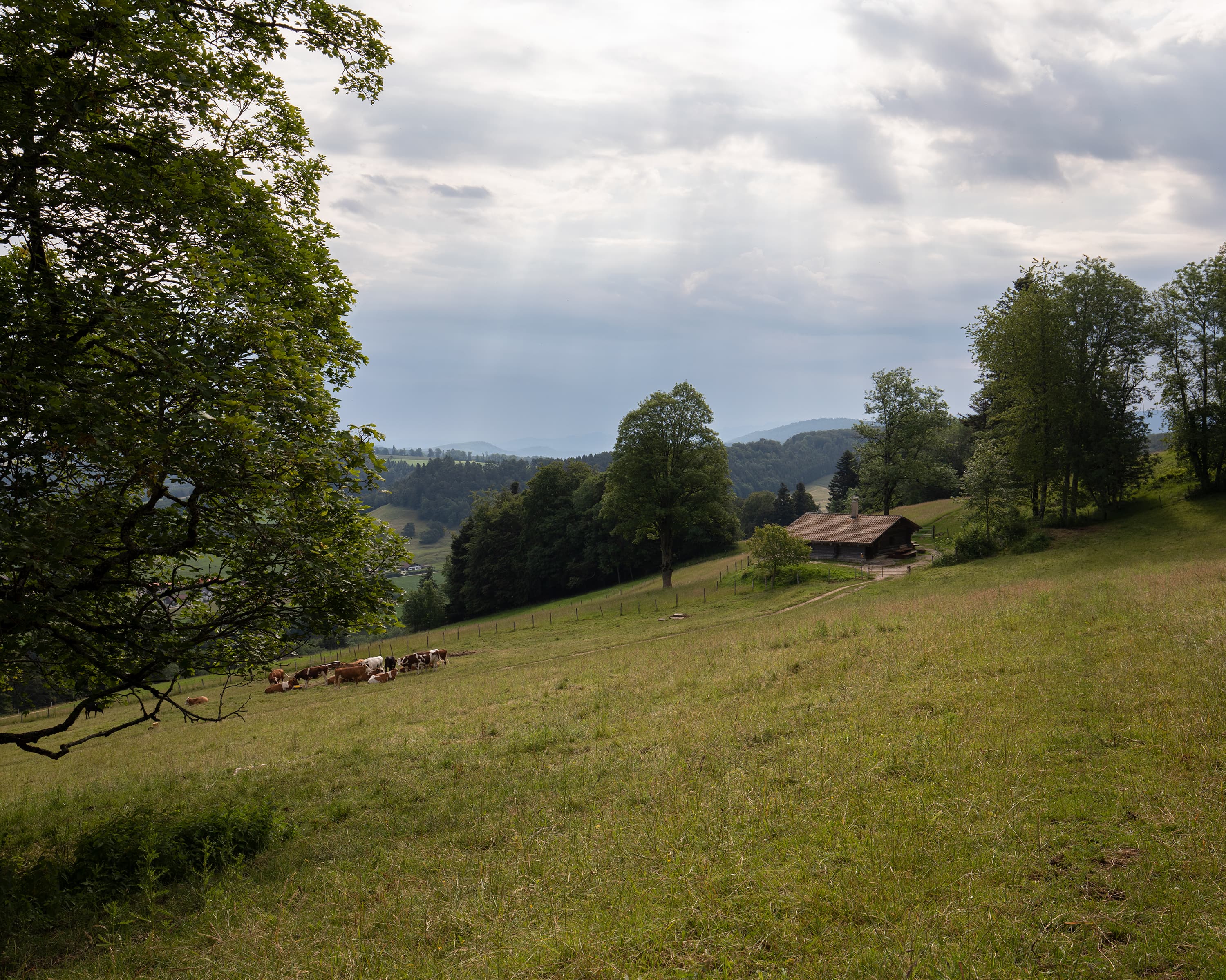 Chemin du Jura, Stage 1/5