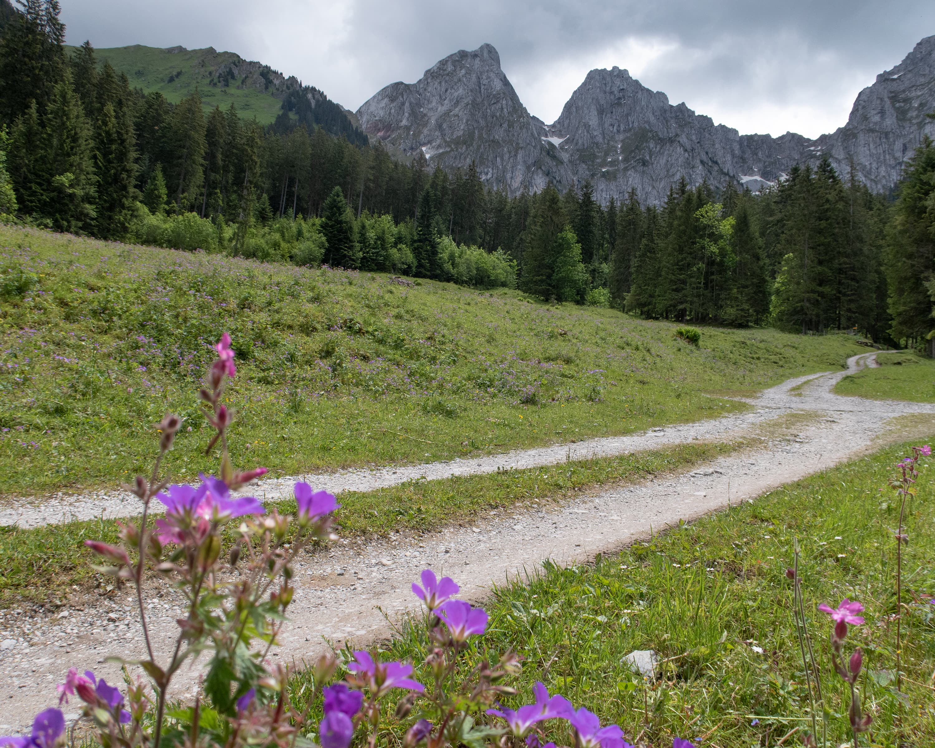 Tour des Alpes Vaudoises, Stage 4/8