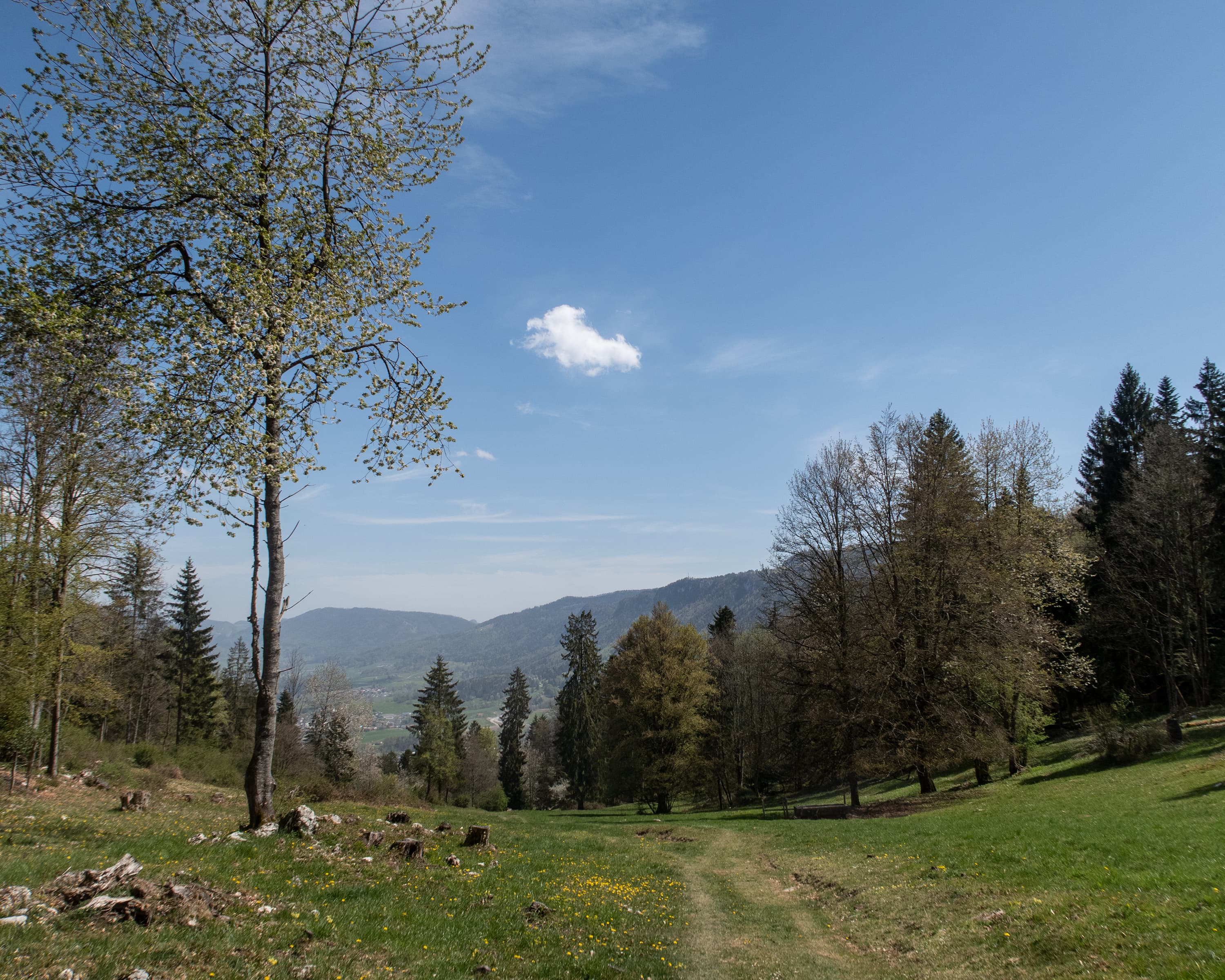Chemin du Jura bernois, Stage 1/4