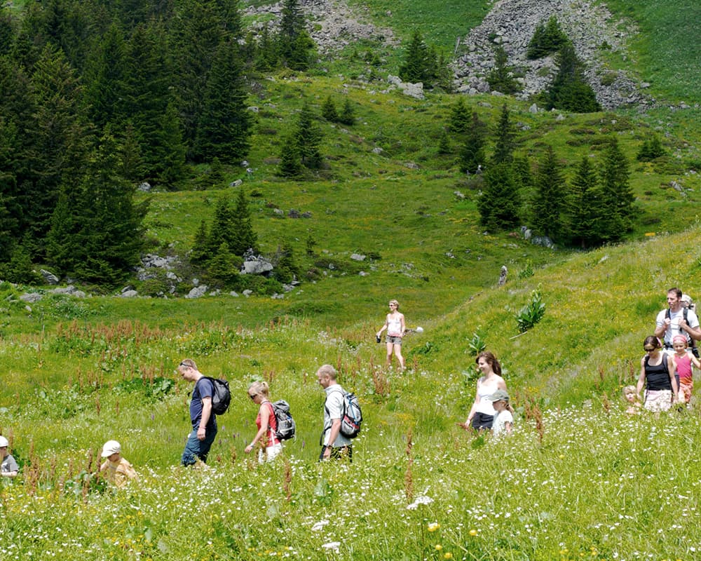 Tour de L’Argentine