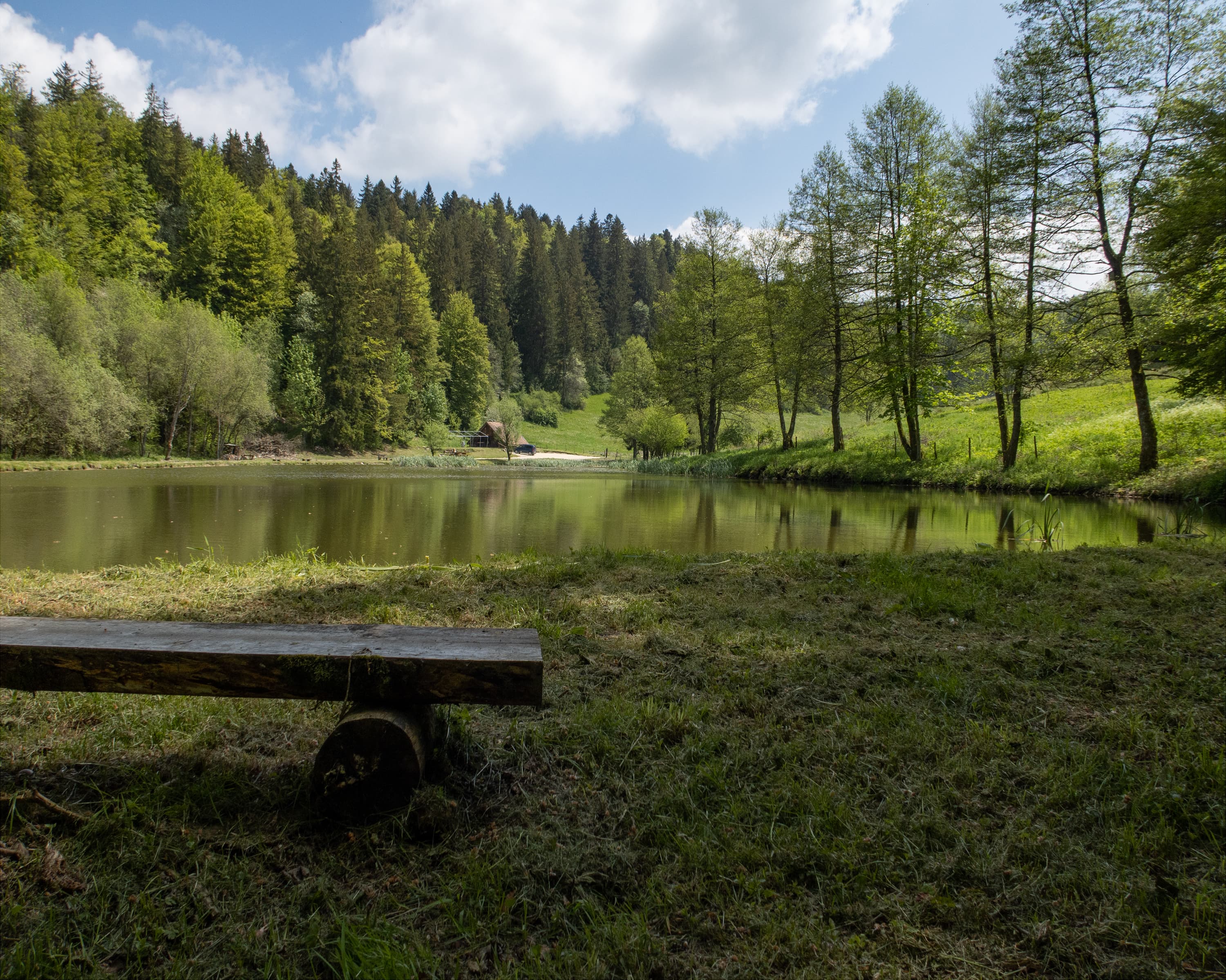 Chemin de la Courtine