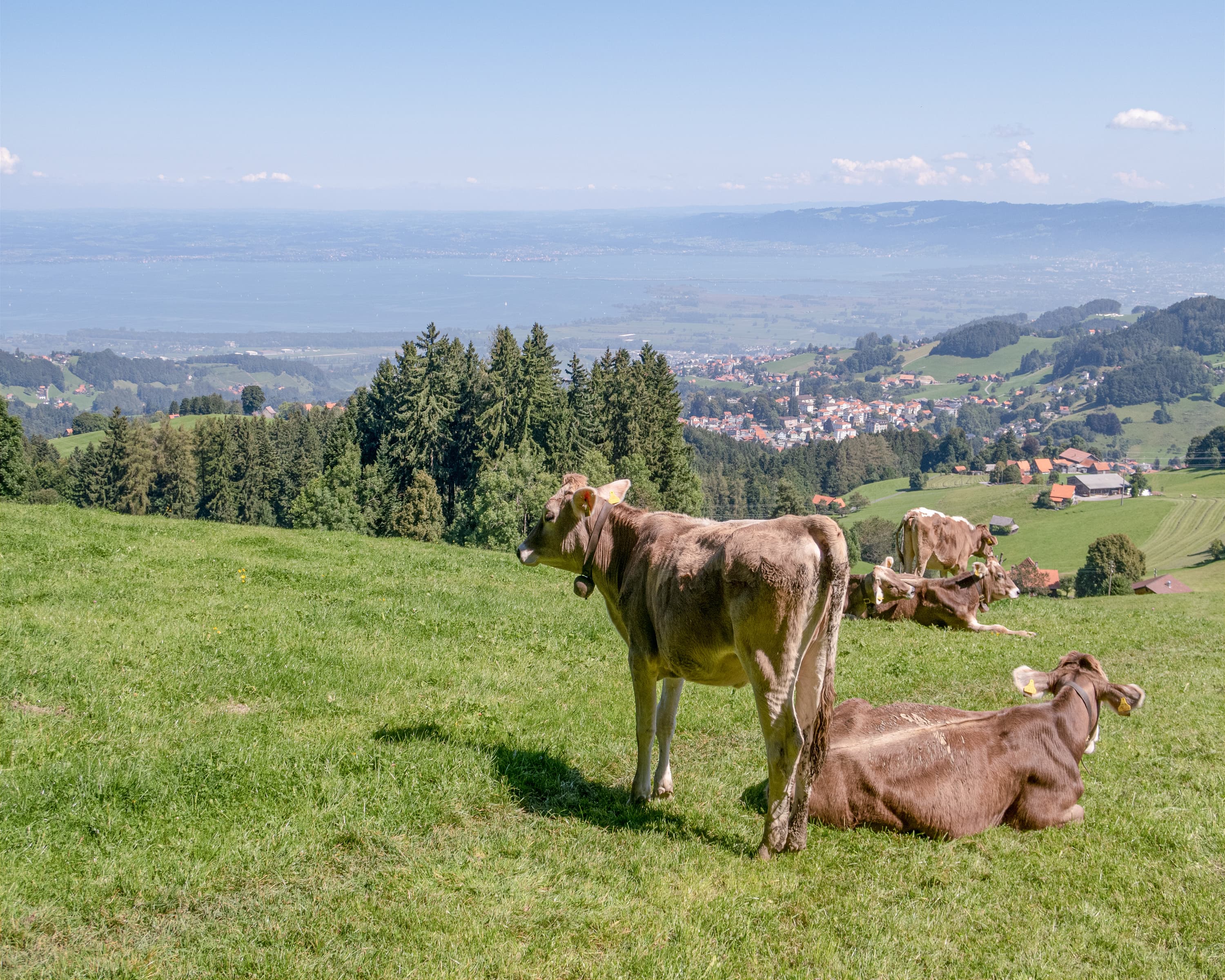 Alpine Panorama Trail, Stage 1/29