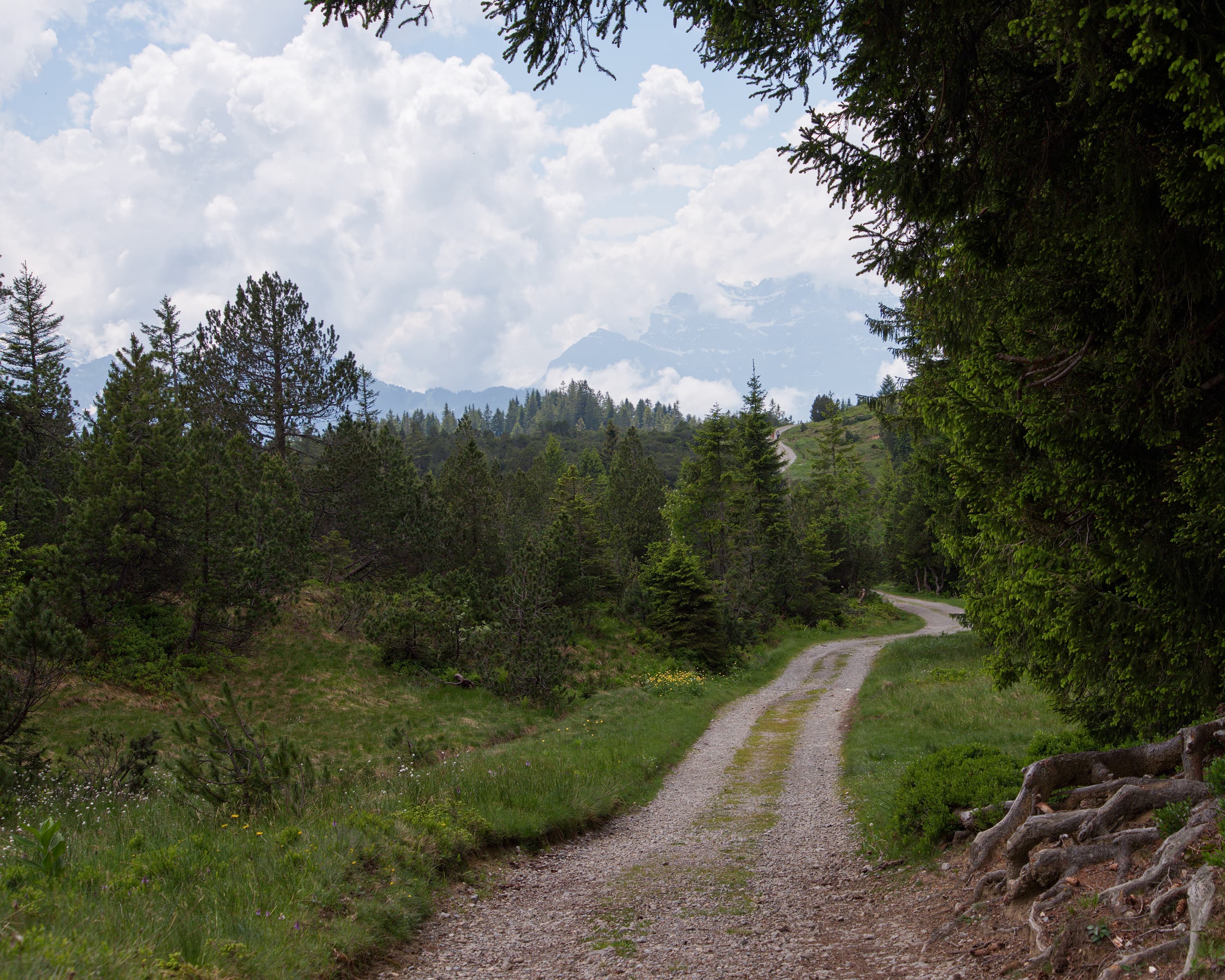 Alpine Panorama Trail, Stage 5/29