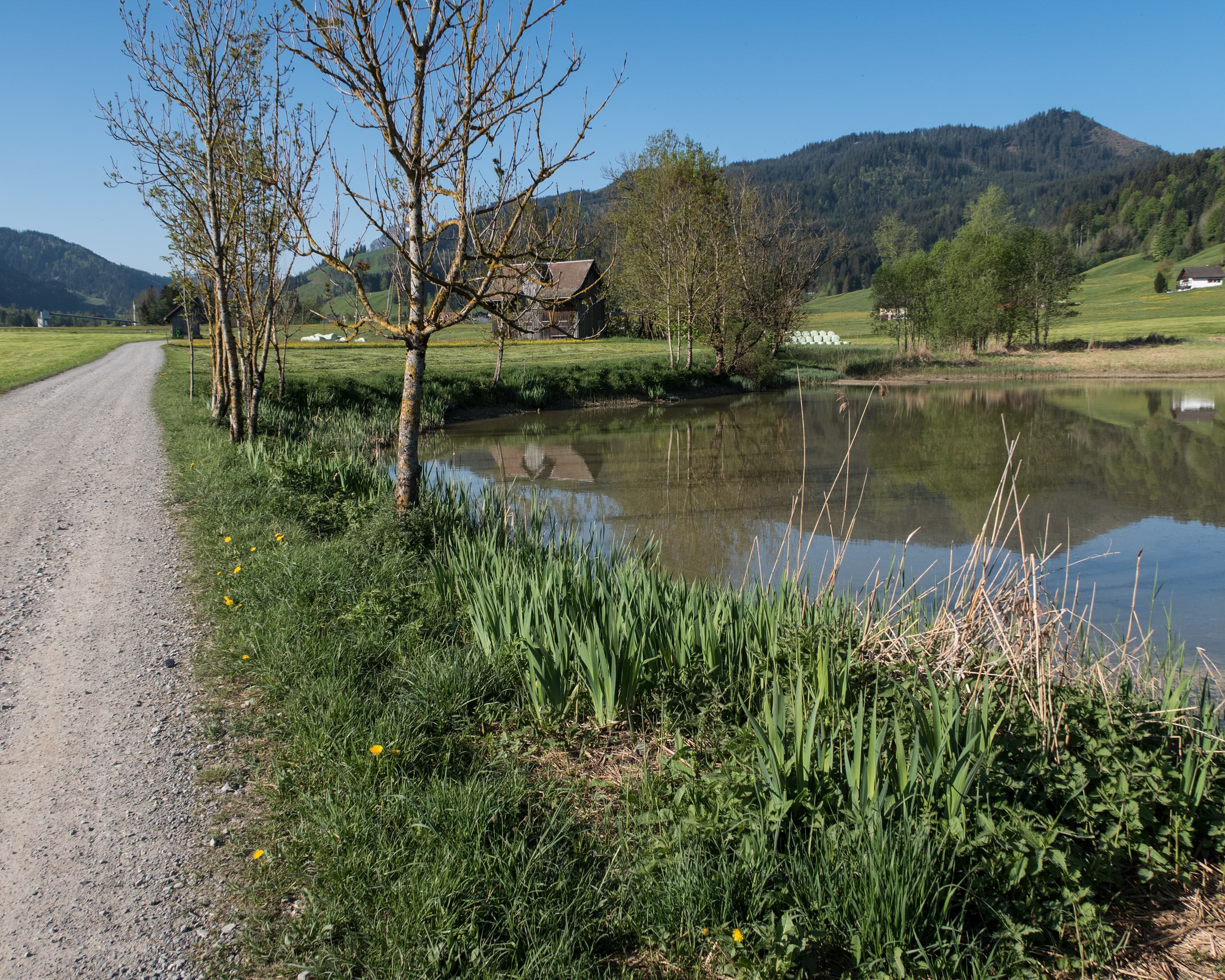 ViaJacobi, Stage 5/33