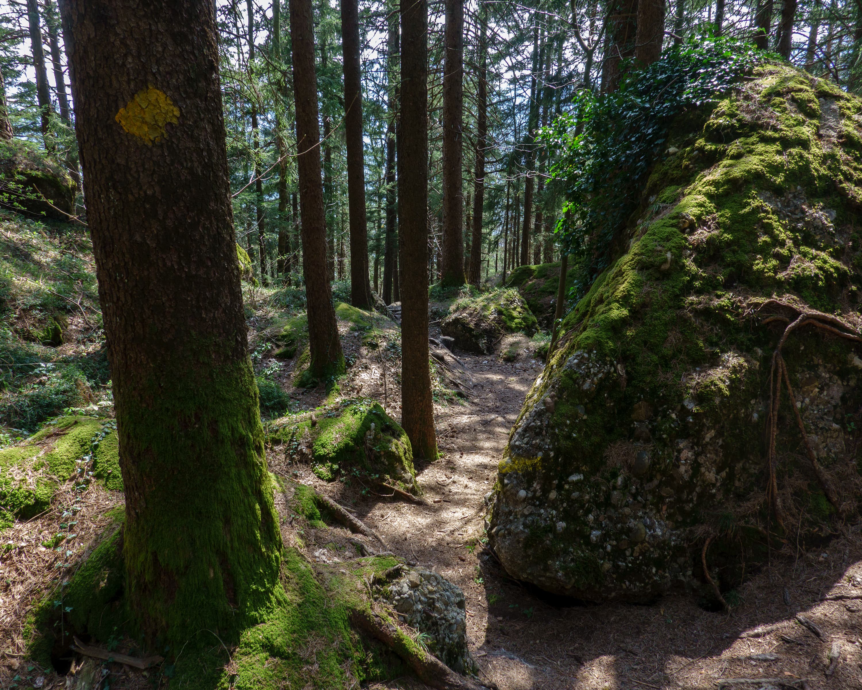Goldauer Bergsturzspur