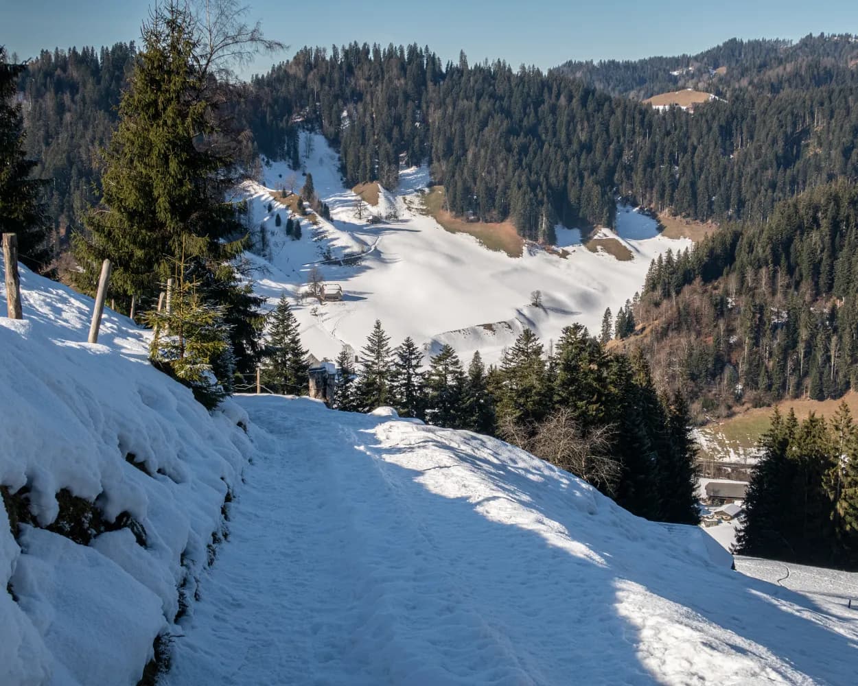 Schneeschuhtrail Ober Altösch