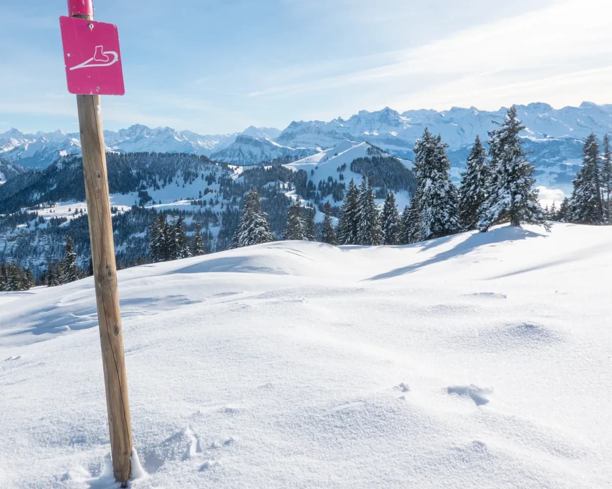 Chäserenholz-Schneeschuhtrail