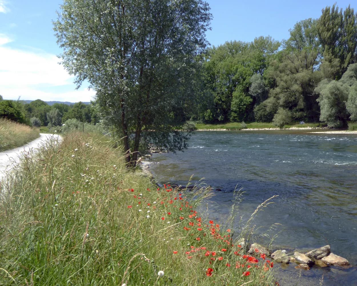 Goldküste–Limmat