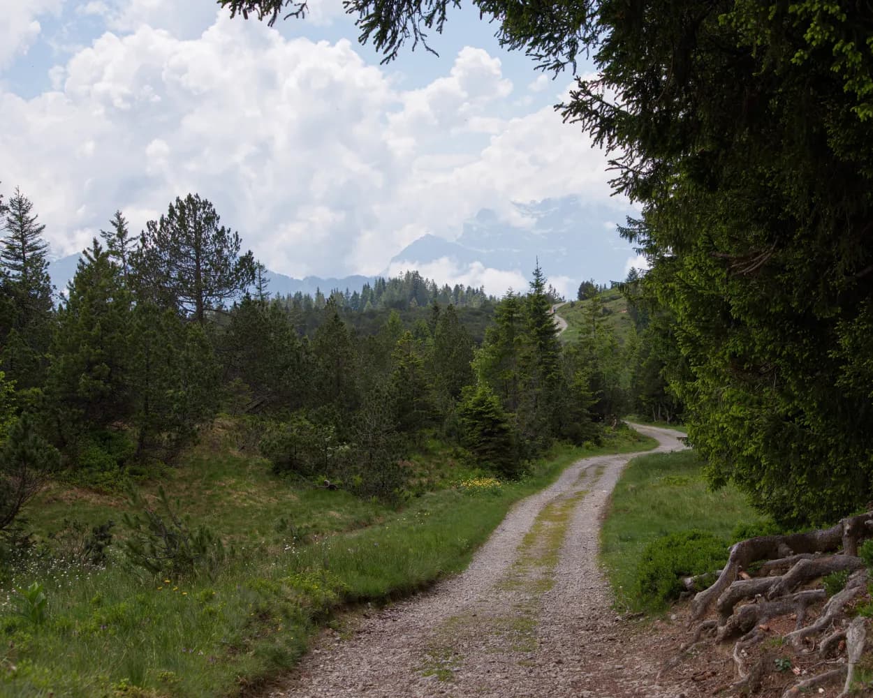 Alpine Panorama Trail, Stage 5/29