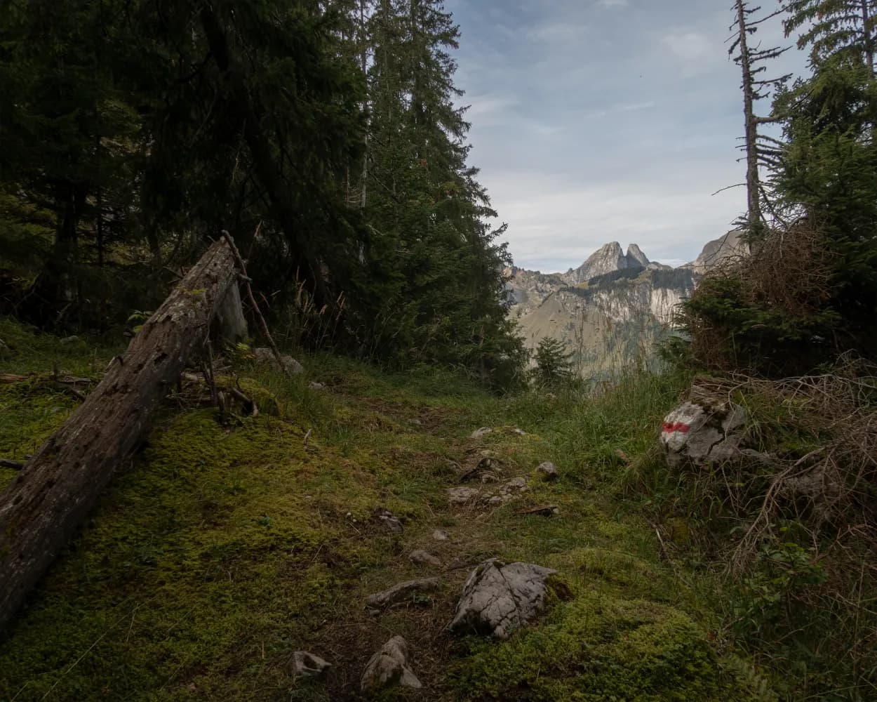 Alpine Passes Trail, Stage 3/43