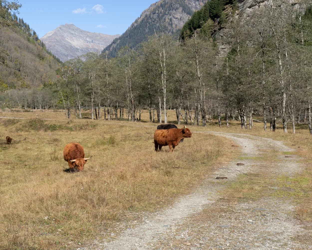 Via Calanca, Stage 2/2