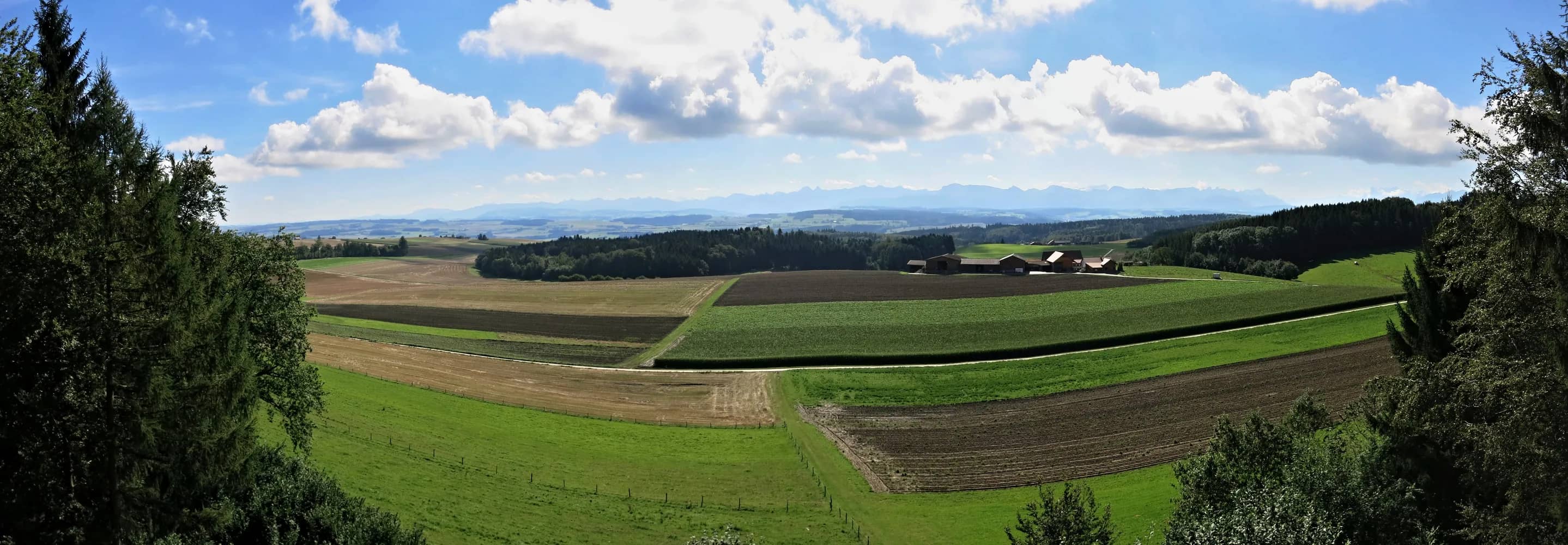 Echallens Region