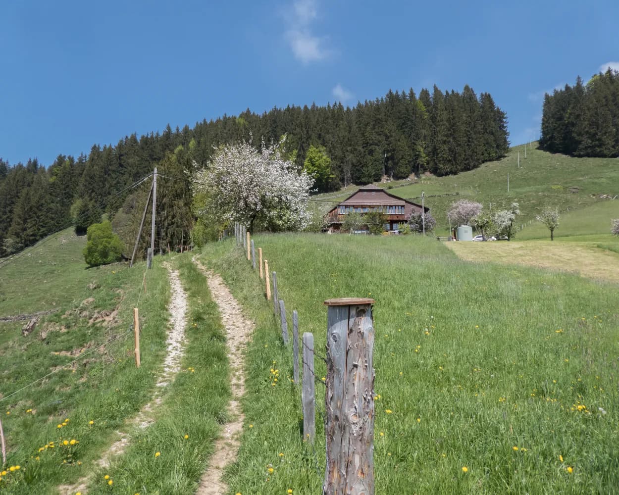 Alpine Panorama Trail, Stage 19/29