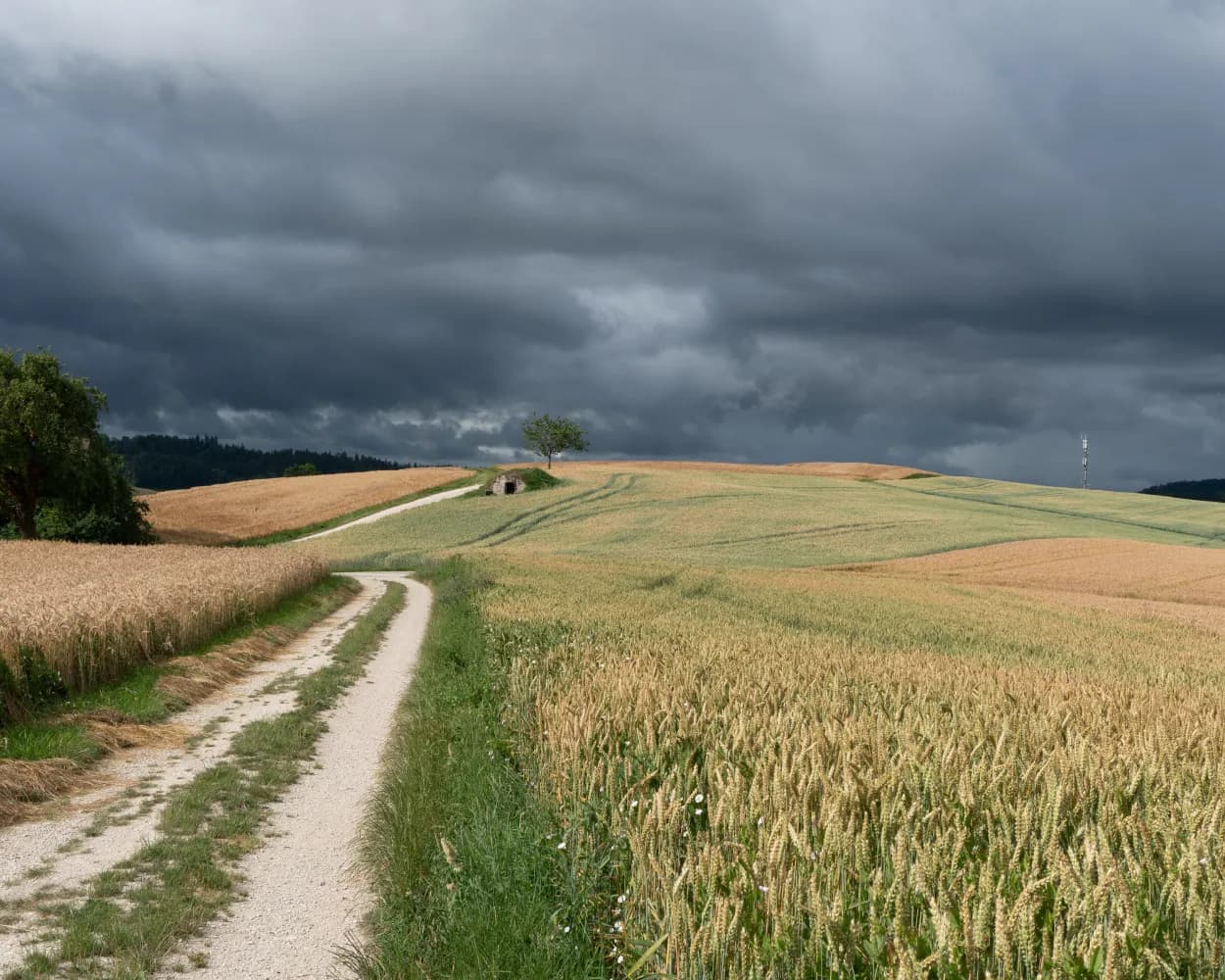 Randen Weg