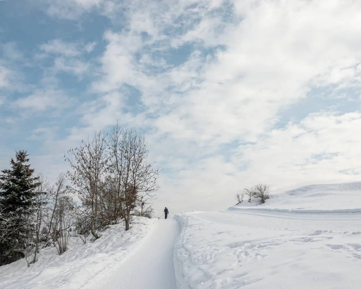 Rundweg Flimserwald