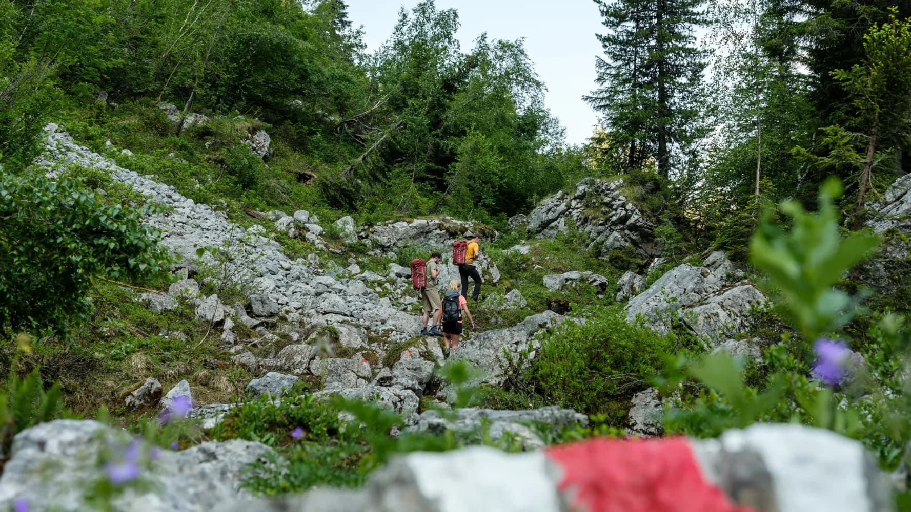 Chemin des préalpes fribourgeoises, Tappa 5/5
