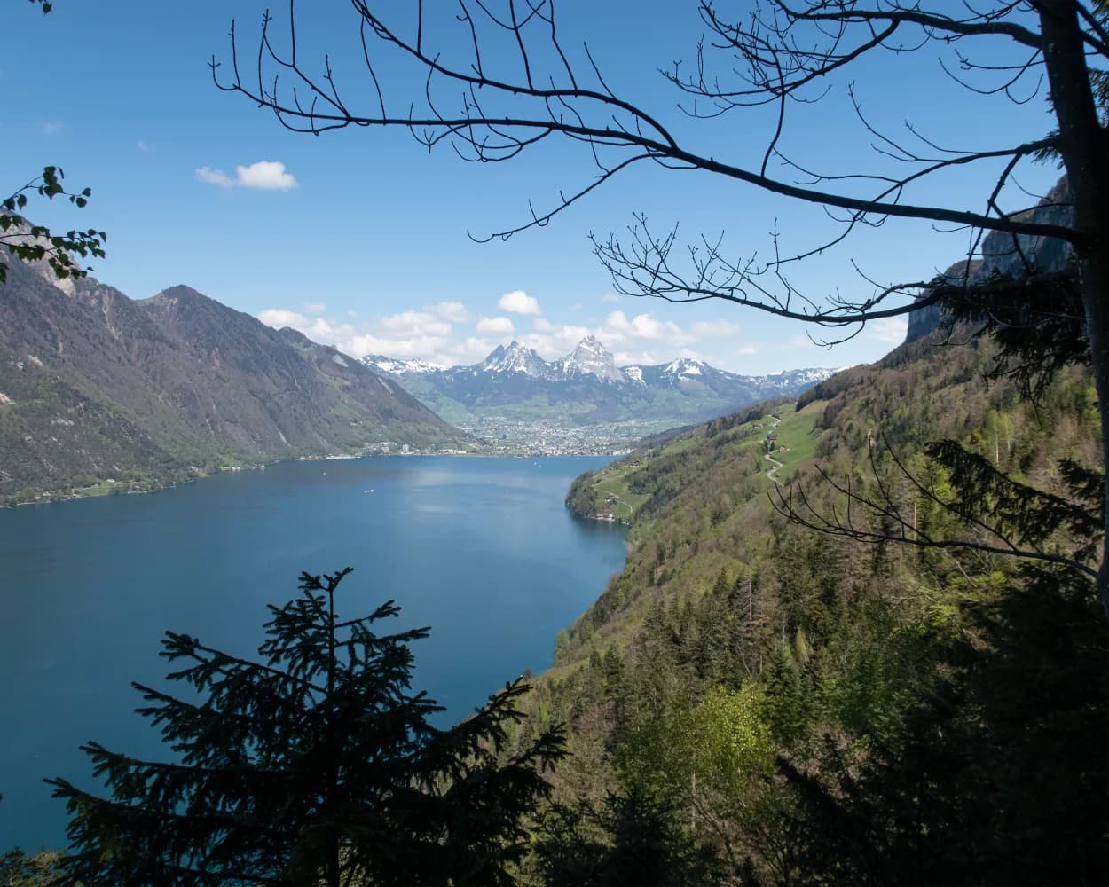 ViaJacobi, Tappa 6/33