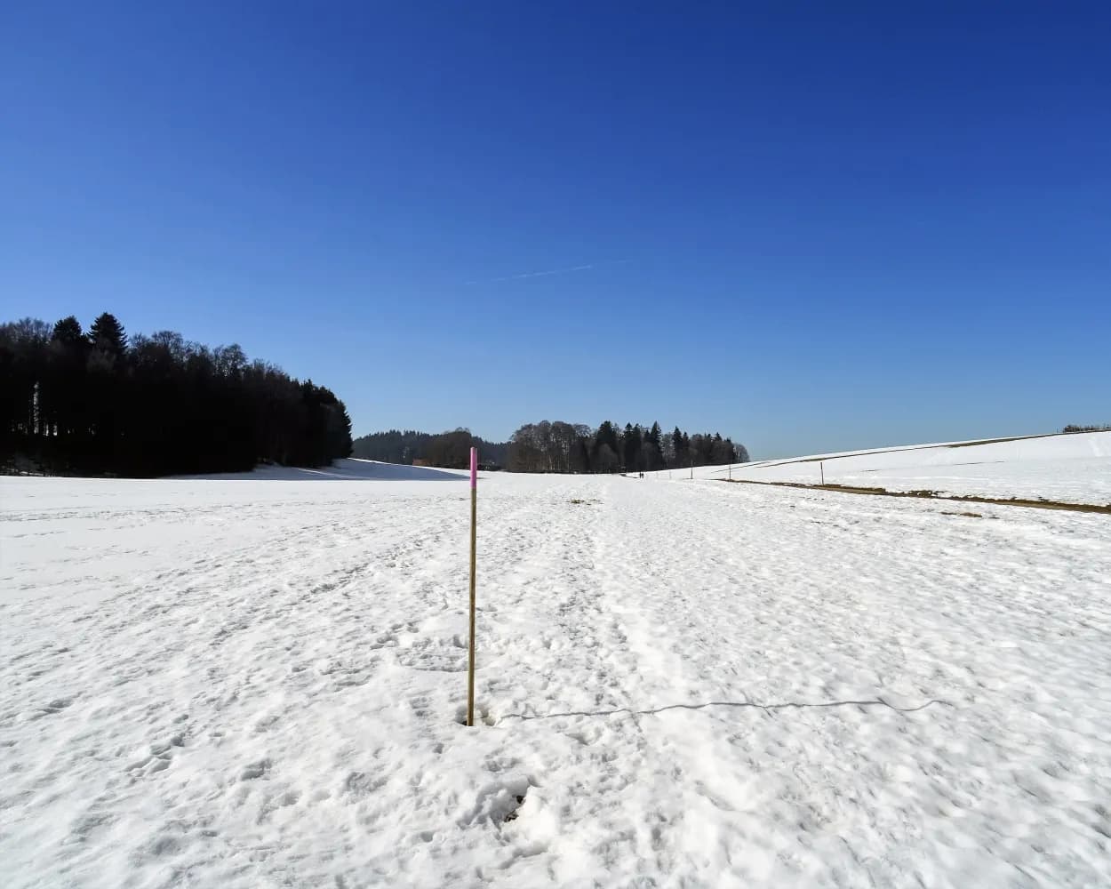 Chemin Saignelégier–Le Noirmont