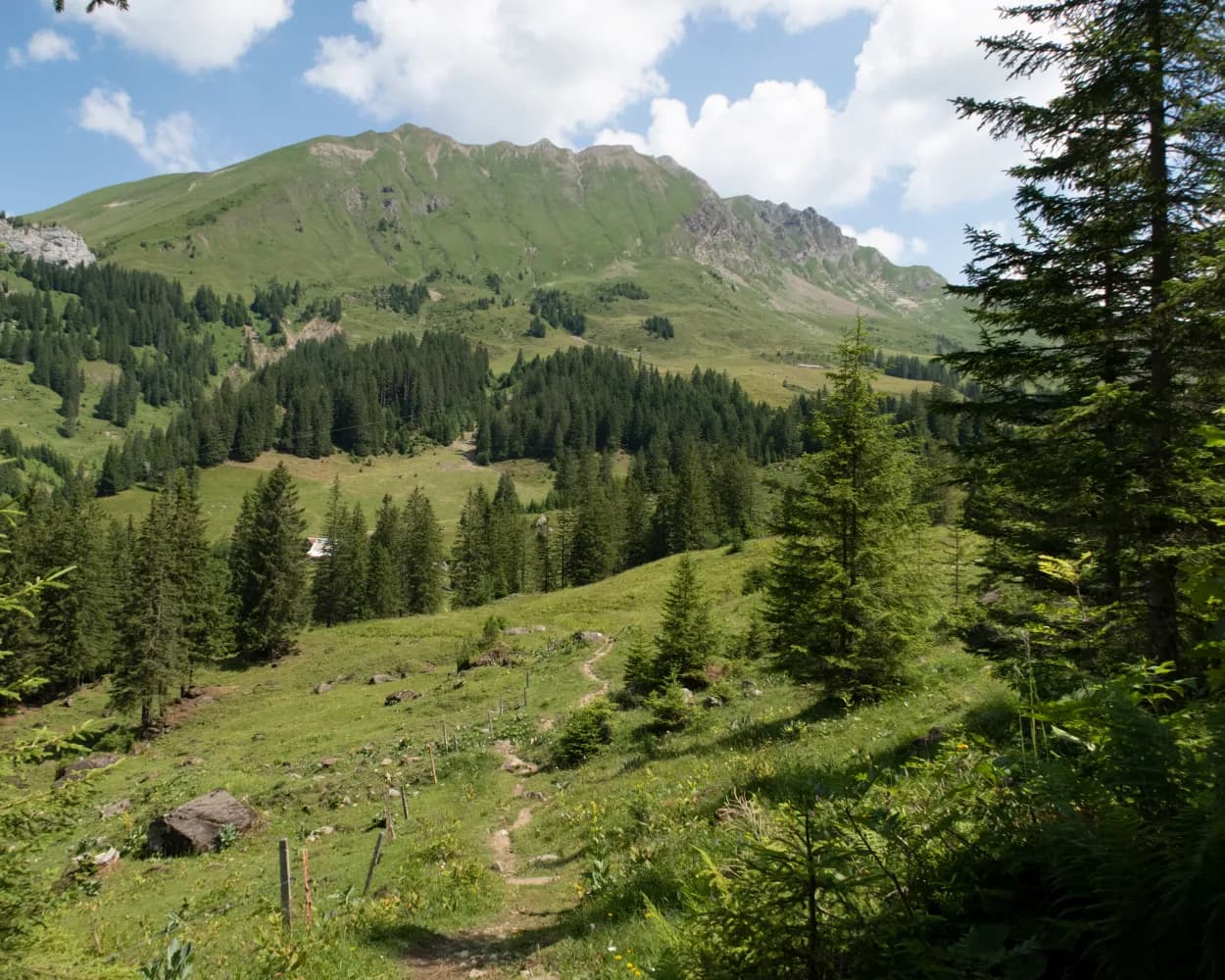 Nidwaldner Höhenweg, Tappa 4/6