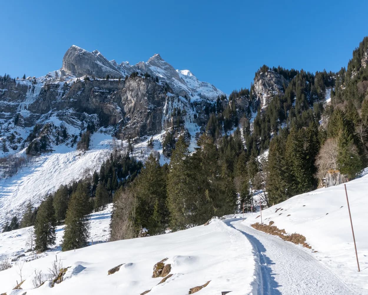Winter Hikes from Glarus by public transport