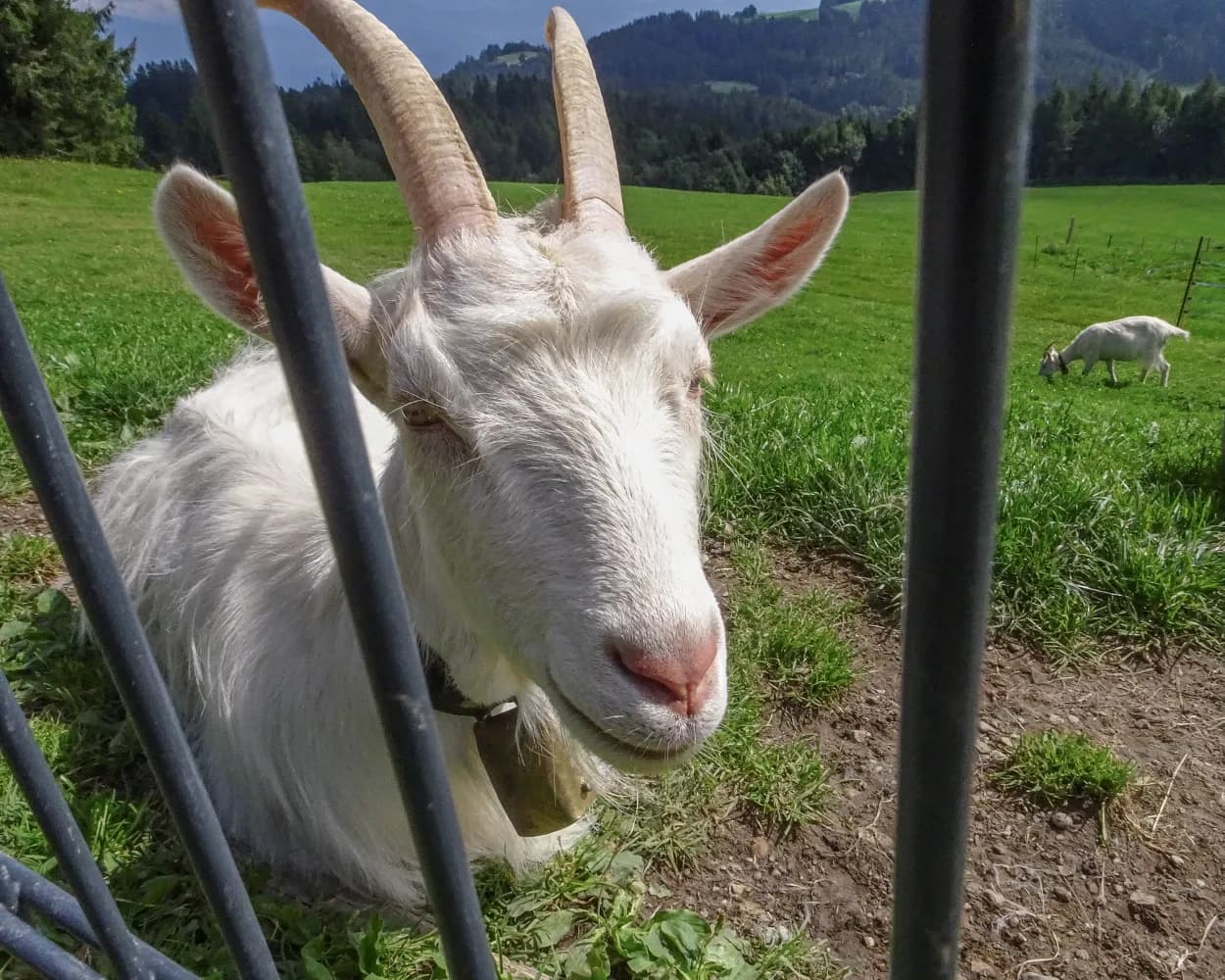Lauras Lieblingsplätze