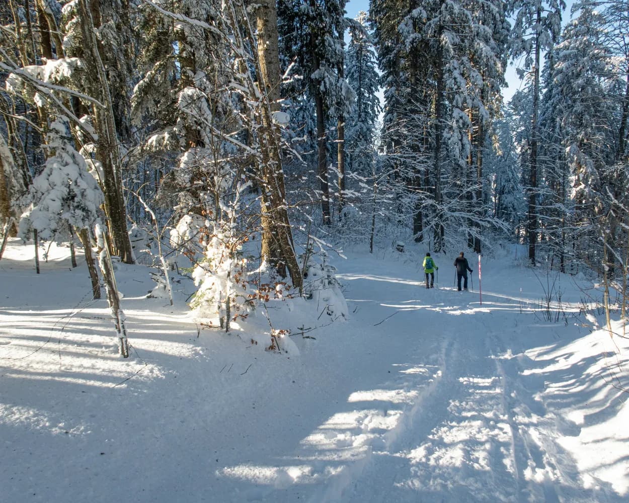 Parcours Col des Etroits–La Vraconnaz