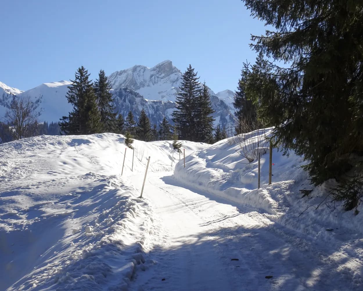 Lauenensee-Winterwanderweg