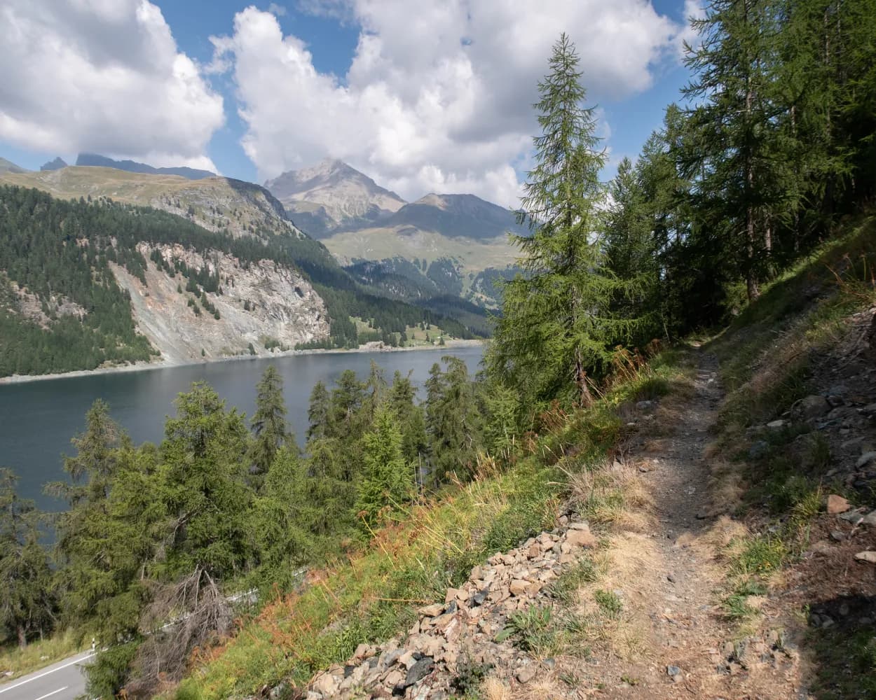 Alpine Bike, Stage 5/16