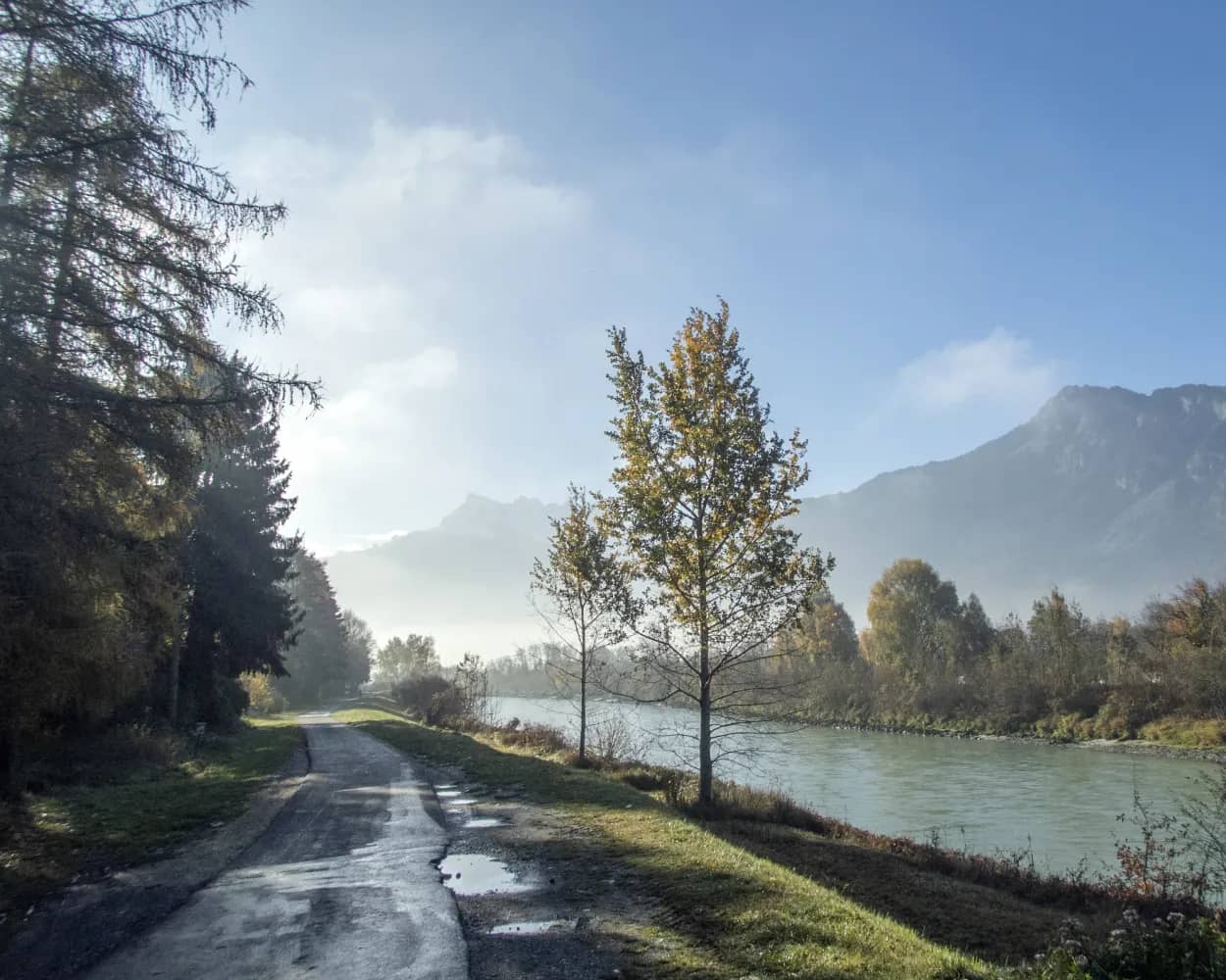 Rhône Skate
