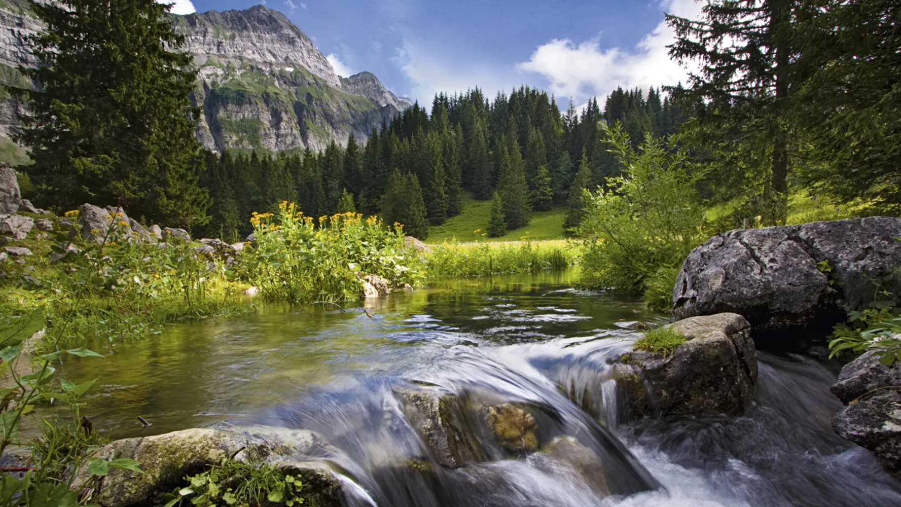 Appenzeller Alpenweg