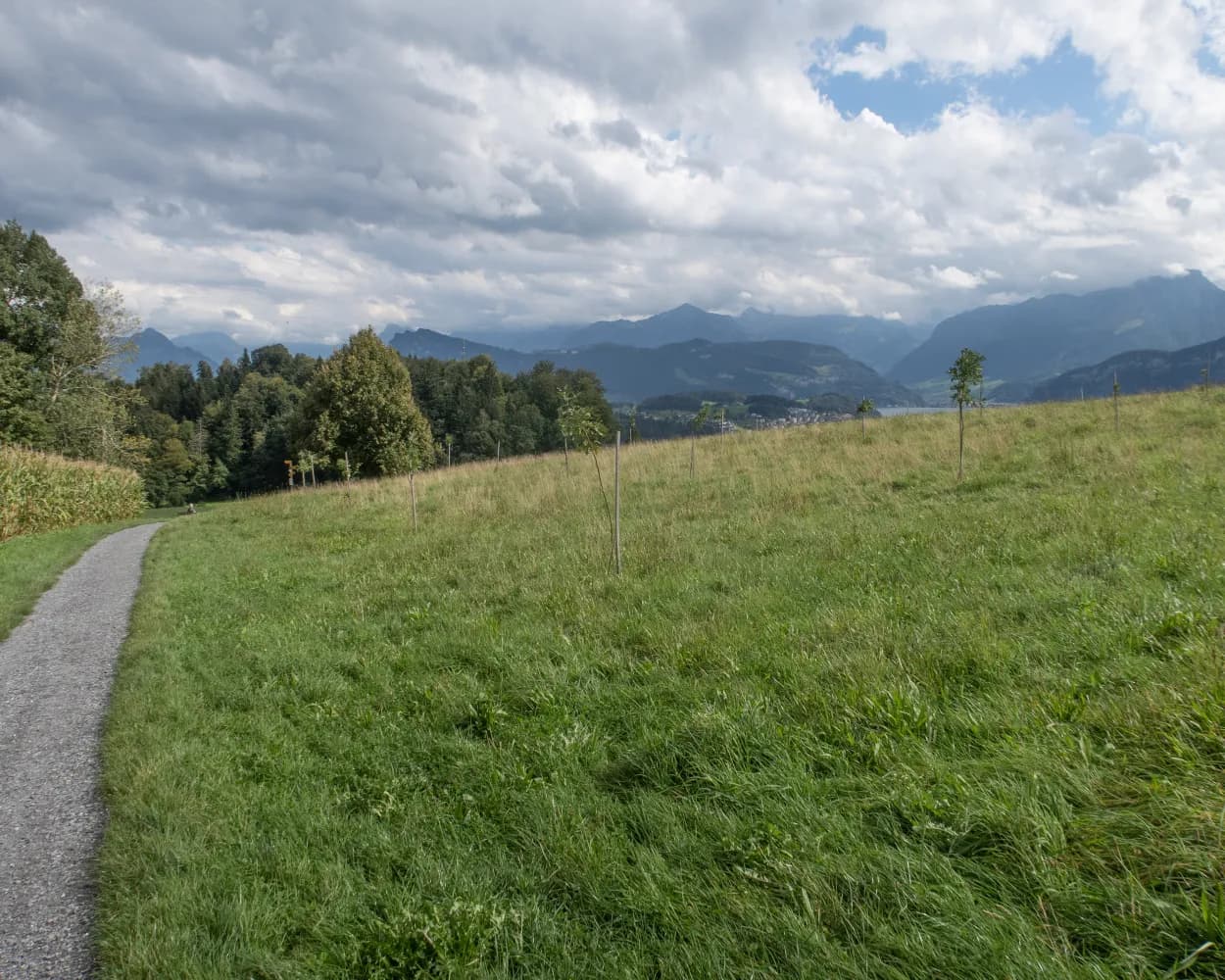Alpine Panorama Trail, Stage 11/29