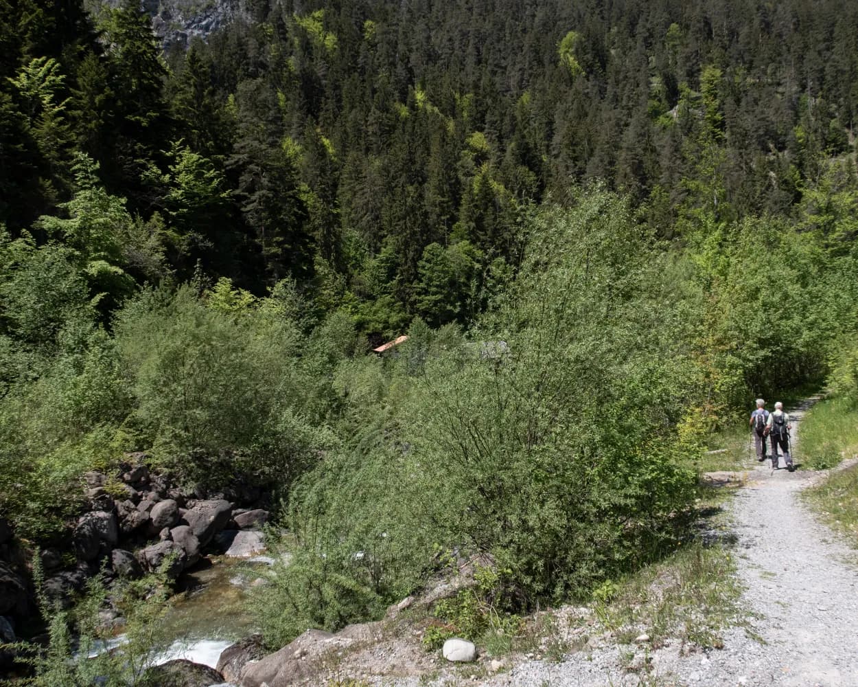 Diemtigtaler Talwanderweg