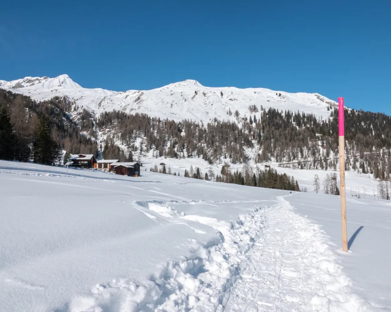 Snowshoeing from Davos by public transport