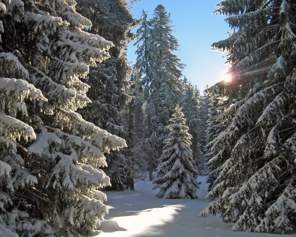Parcours Le Noirmont–Les Bois