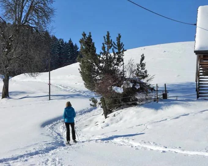 Parcours du Mont-Pèlerin