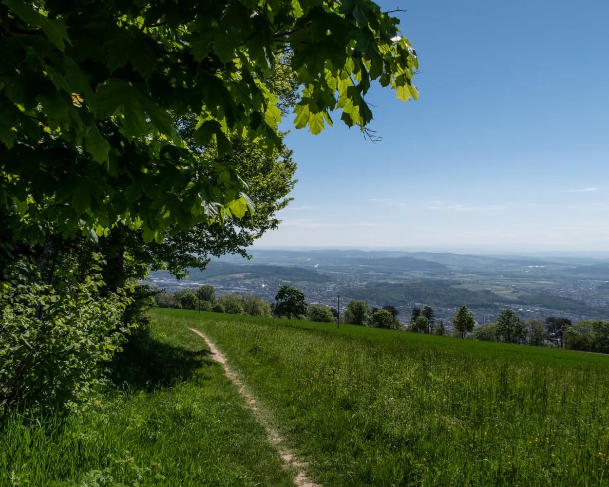 ViaBerna, Tappa 5/20