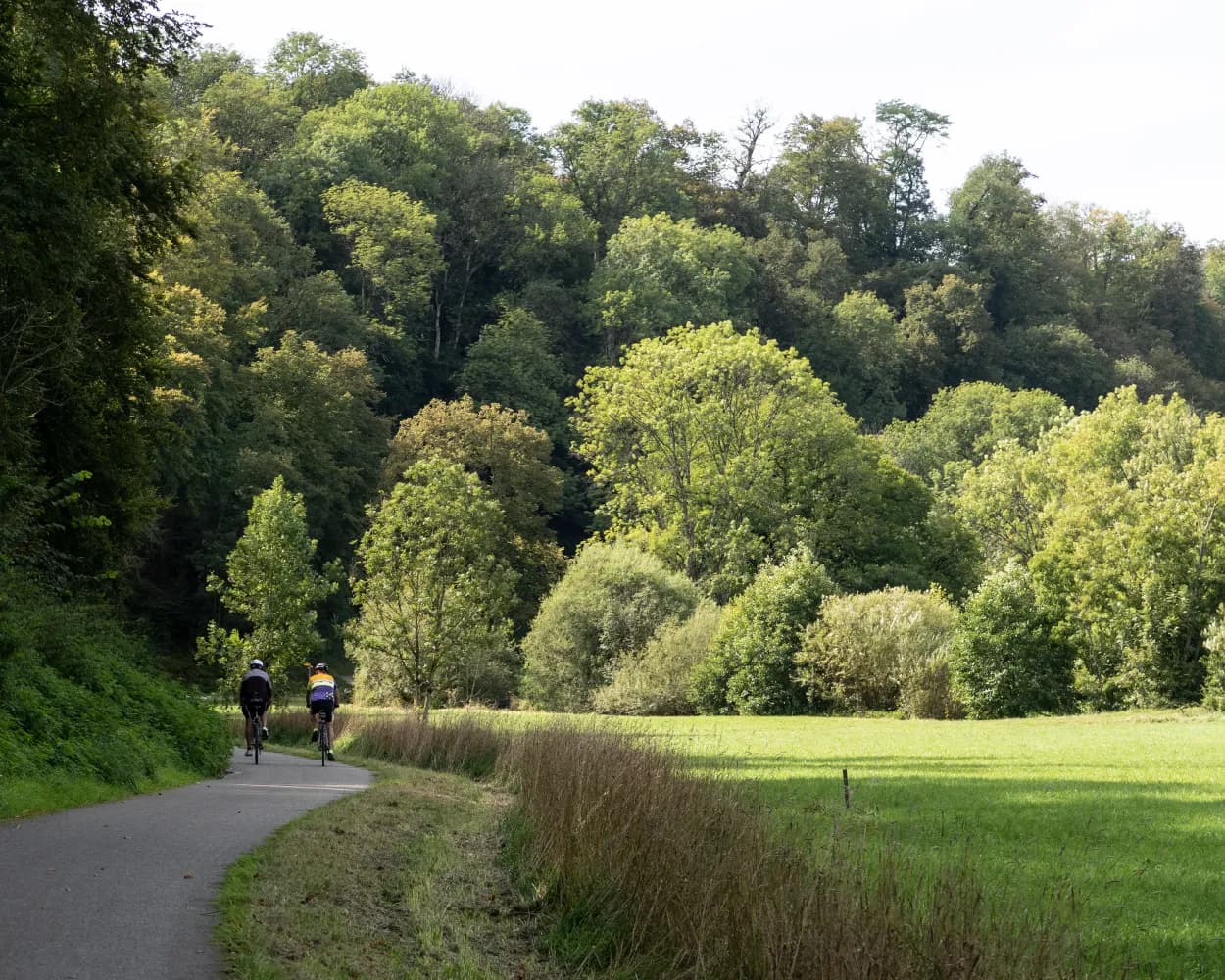 Sur les traces des dinosaures