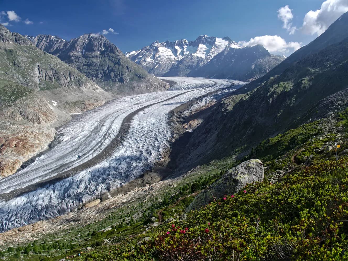 Aletsch Arena