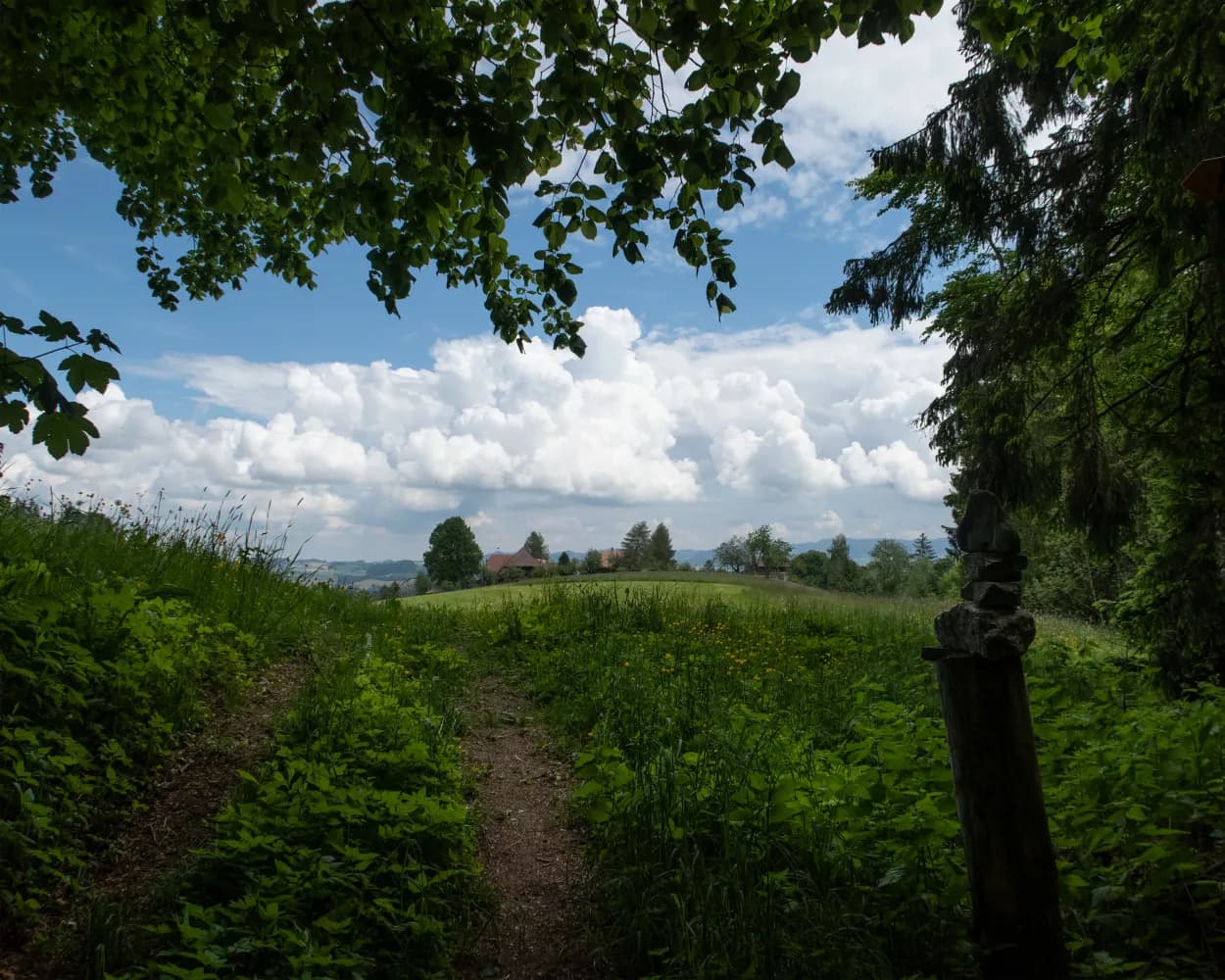 Trans Swiss Trail, Stage 11/32