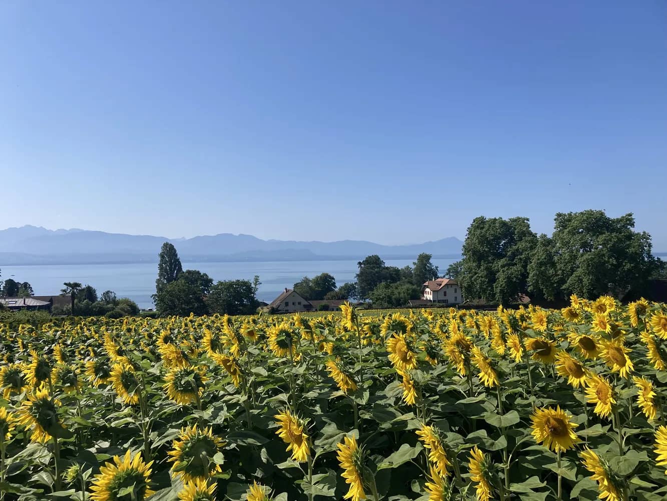 Region Morges