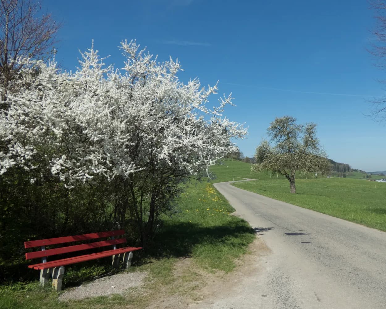 Mittelland Route, Stage 2/7