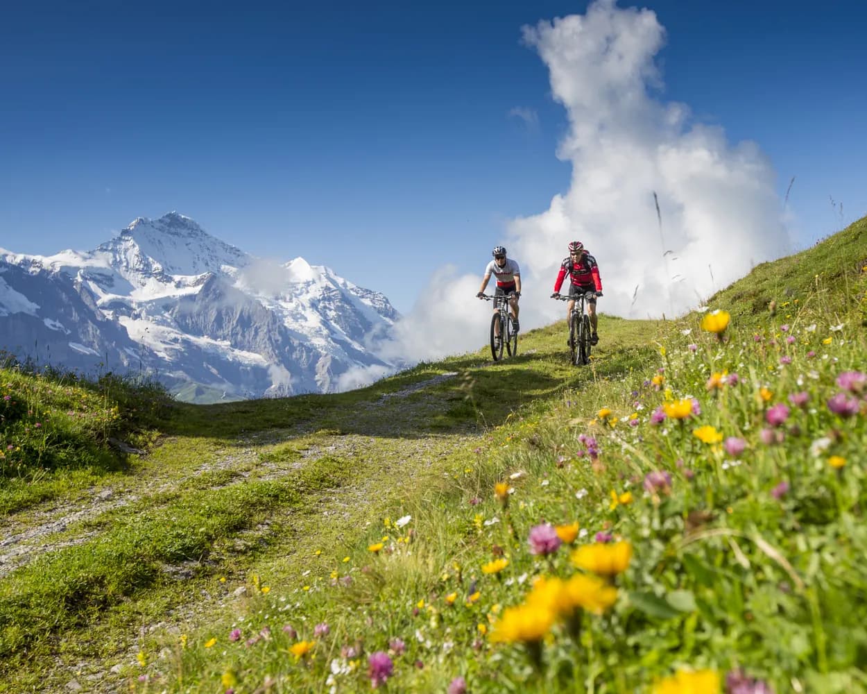 Bussalp Bike