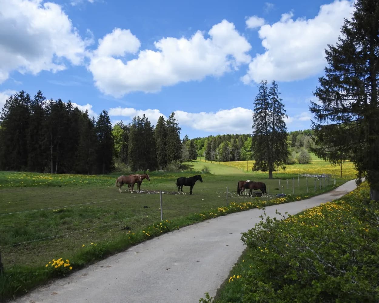 Jura Route, Stage 3/6