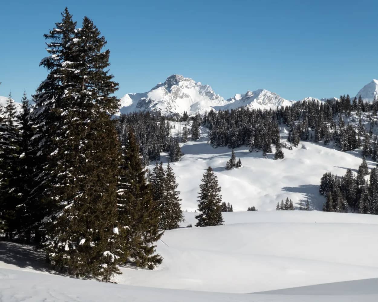 Sparenmoos-Winterwanderweg