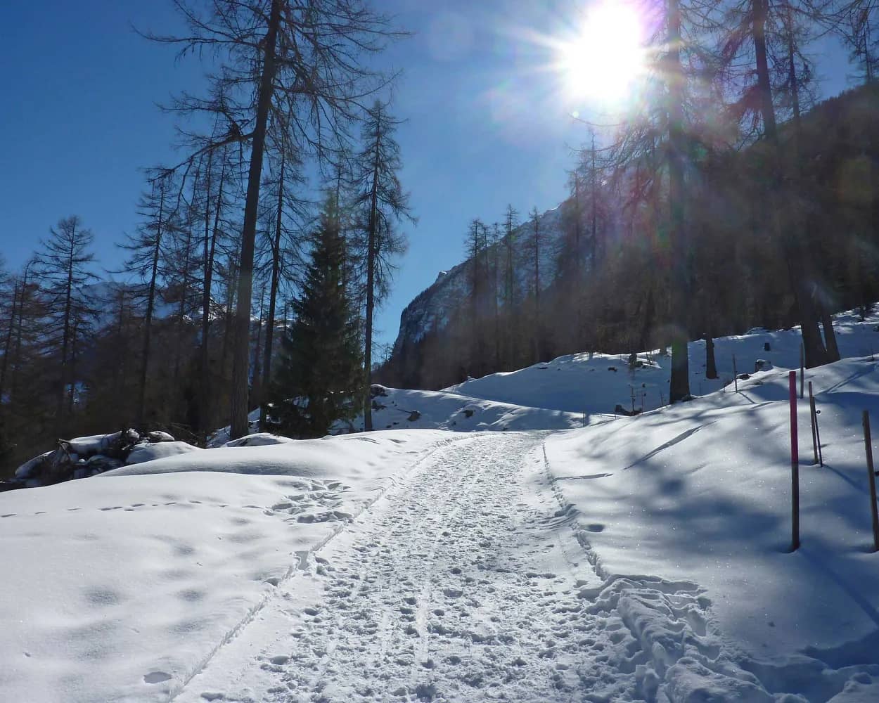 Bergünerstein-Schneeschuhtrail