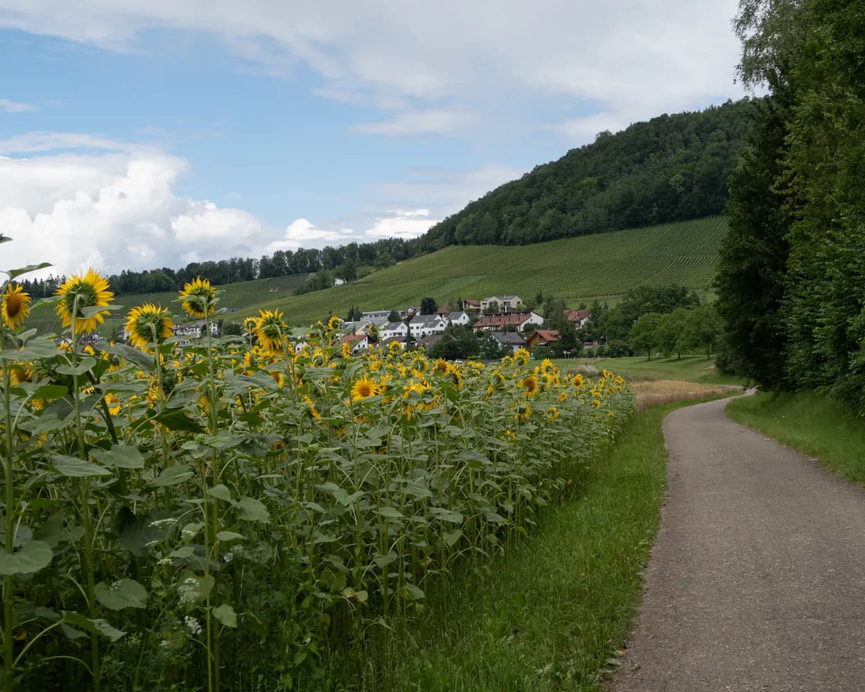 Rigi–Reuss–Klettgau, Étape 3/4