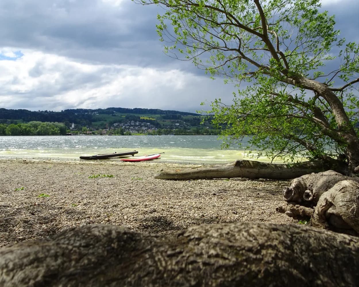 Greifensee Skate
