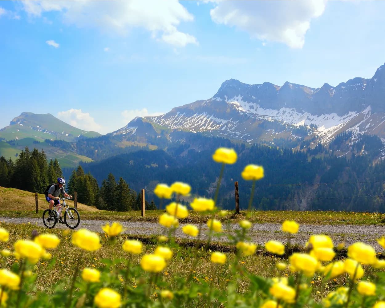 Choltal