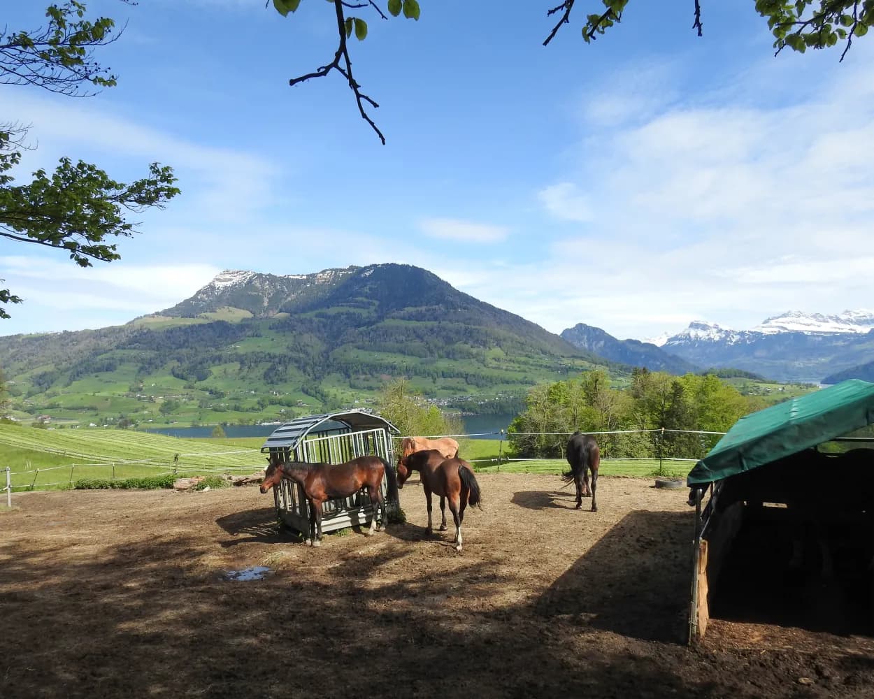 Luzerner Hinterland–Rigi, Etappe 3/3